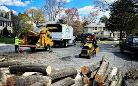 Best Sod Installation  in Monmouth, OR